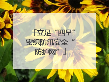 立足“四早”密织防汛安全“防护网”