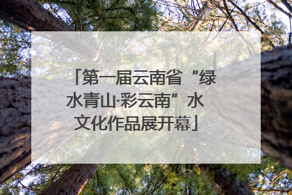 第一届云南省“绿水青山·彩云南”水文化作品展开幕