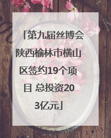 第九届丝博会陕西榆林市横山区签约19个项目 总投资203亿元