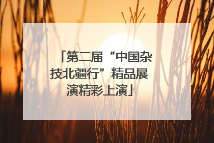 第二届“中国杂技北疆行”精品展演精彩上演