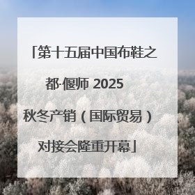 第十五届中国布鞋之都·偃师 2025 秋冬产销（国际贸易）对接会隆重开幕