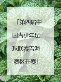 第四届中国青少年足球联赛青海赛区开赛