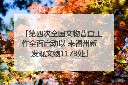 第四次全国文物普查工作全面启动以 来福州新发现文物1173处