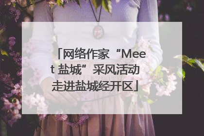 网络作家“Meet 盐城”采风活动走进盐城经开区