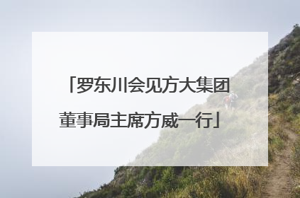 罗东川会见方大集团董事局主席方威一行