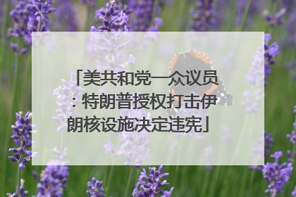 美共和党一众议员：特朗普授权打击伊朗核设施决定违宪