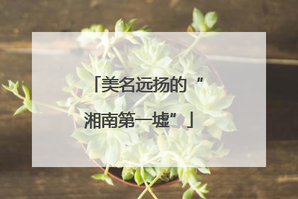 美名远扬的“湘南第一墟”