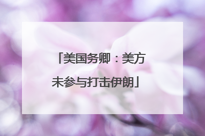 美国务卿：美方未参与打击伊朗