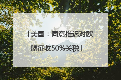 美国：同意推迟对欧盟征收50%关税