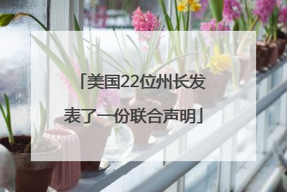 美国22位州长发表了一份联合声明