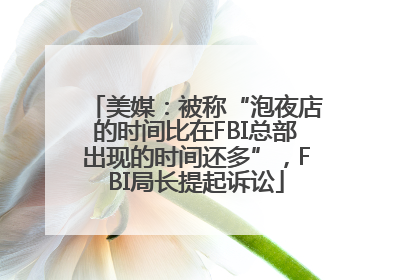 美媒：被称“泡夜店的时间比在FBI总部出现的时间还多”，FBI局长提起诉讼