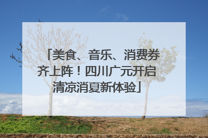 美食、音乐、消费券齐上阵！四川广元开启清凉消夏新体验