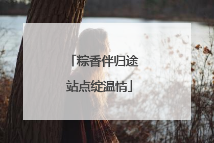 粽香伴归途 站点绽温情
