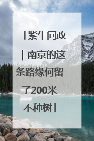 紫牛问政｜南京的这条路缘何留了200米不种树
