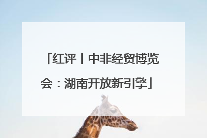 红评丨中非经贸博览会：湖南开放新引擎