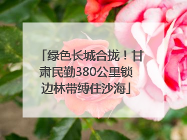 绿色长城合拢！甘肃民勤380公里锁边林带缚住沙海