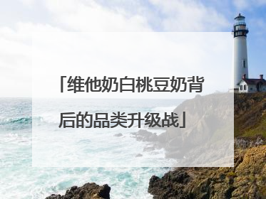 维他奶白桃豆奶背后的品类升级战