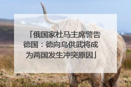 俄国家杜马主席警告德国：德向乌供武将成为两国发生冲突原因