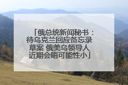 俄总统新闻秘书：待乌克兰回应备忘录草案 俄美乌领导人近期会晤可能性小