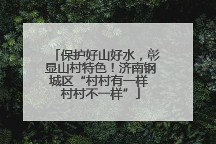保护好山好水，彰显山村特色！济南钢城区“村村有一样 村村不一样”