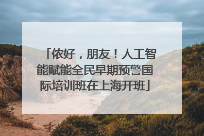 侬好，朋友！人工智能赋能全民早期预警国际培训班在上海开班