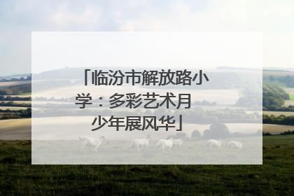 临汾市解放路小学：多彩艺术月 少年展风华