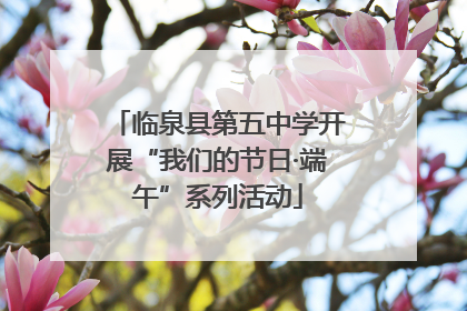 临泉县第五中学开展“我们的节日·端午”系列活动