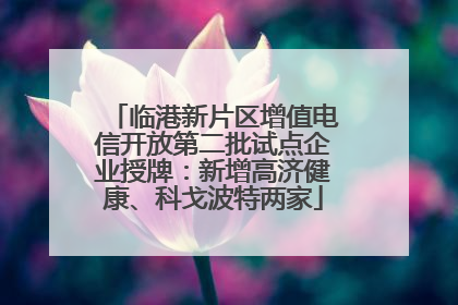 临港新片区增值电信开放第二批试点企业授牌：新增高济健康、科戈波特两家