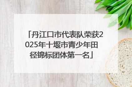 丹江口市代表队荣获2025年十堰市青少年田径锦标团体第一名