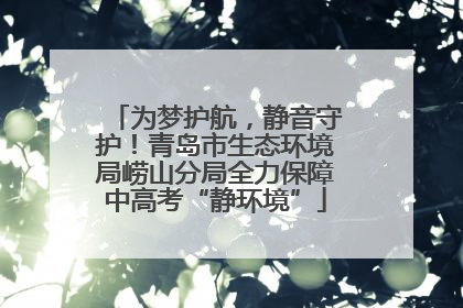 为梦护航，静音守护！青岛市生态环境局崂山分局全力保障中高考“静环境”