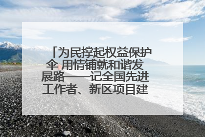 为民撑起权益保护伞 用情铺就和谐发展路——记全国先进工作者、新区项目建设中心干部卢小勇