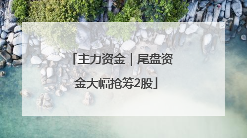 主力资金｜尾盘资金大幅抢筹2股
