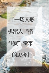 一场人形机器人“格斗赛”带来的思考