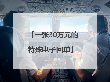 一张30万元的特殊电子回单