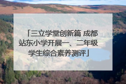 三立学堂创新篇 成都站东小学开展一、二年级学生综合素养测评