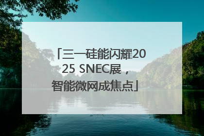 三一硅能闪耀2025 SNEC展，智能微网成焦点