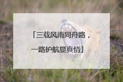 三载风雨同舟路，一路护航显真情