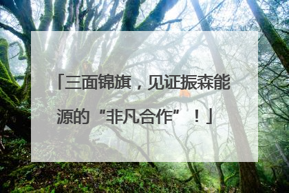 三面锦旗，见证振森能源的“非凡合作”！