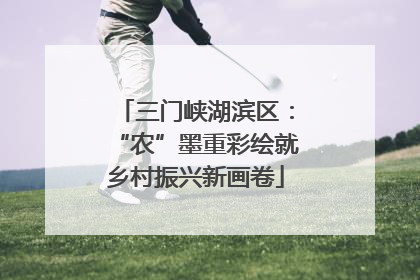 三门峡湖滨区：“农”墨重彩绘就乡村振兴新画卷