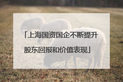 上海国资国企不断提升股东回报和价值表现
