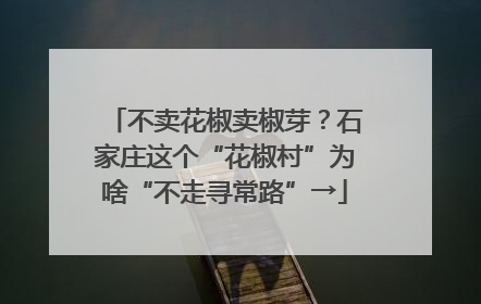不卖花椒卖椒芽？石家庄这个“花椒村”为啥“不走寻常路”→