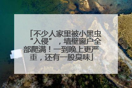 不少人家里被小黑虫“入侵”，墙壁窗户全部爬满！一到晚上更严重，还有一股臭味
