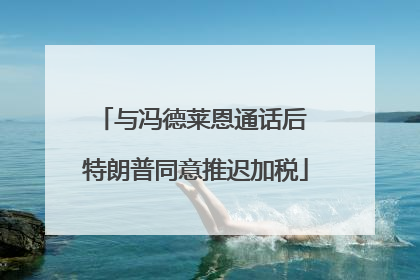 与冯德莱恩通话后 特朗普同意推迟加税