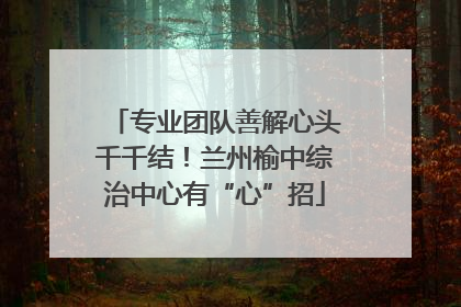 专业团队善解心头千千结！兰州榆中综治中心有“心”招