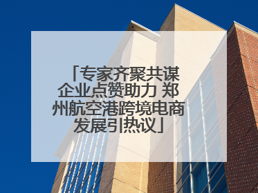 专家齐聚共谋 企业点赞助力 郑州航空港跨境电商发展引热议