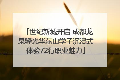 世纪新城开启 成都龙泉驿光华东山学子沉浸式体验72行职业魅力