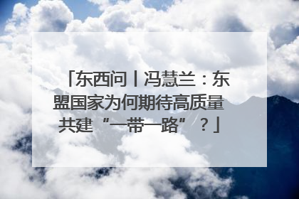 东西问丨冯慧兰：东盟国家为何期待高质量共建“一带一路”？
