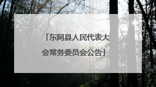 东阿县人民代表大会常务委员会公告