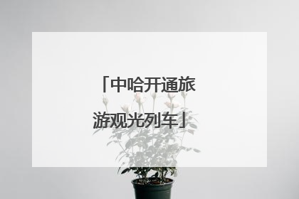 中哈开通旅游观光列车