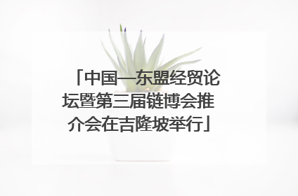 中国—东盟经贸论坛暨第三届链博会推介会在吉隆坡举行